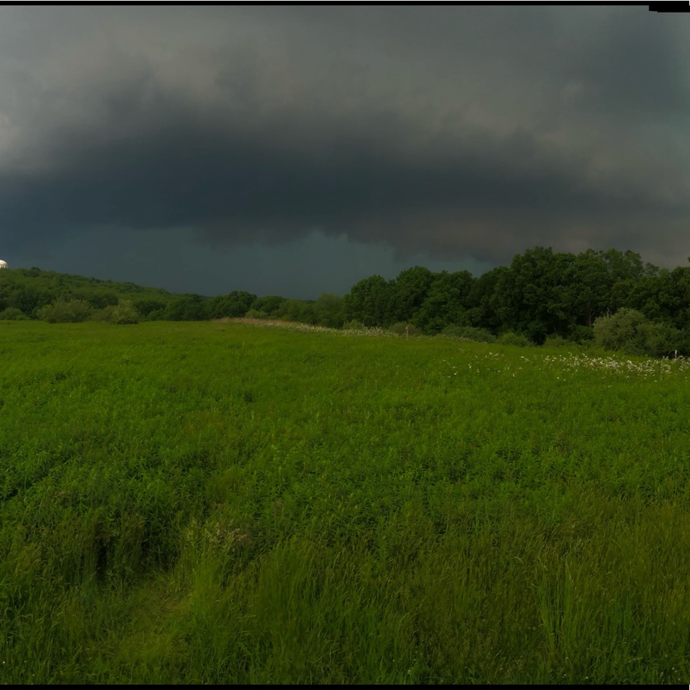 Meet your Posher, Lydia